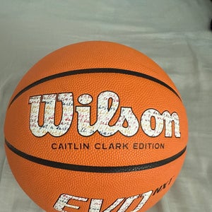 Men's Wilson Basketball (New)