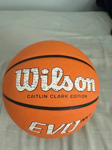 Men's Wilson Basketball (New)