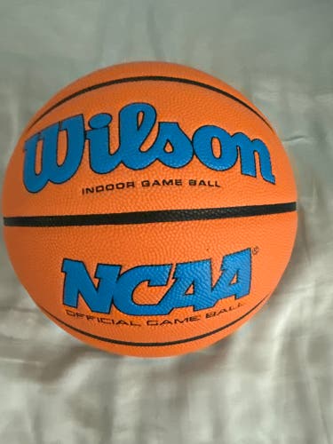 Men's Wilson Basketball (New)