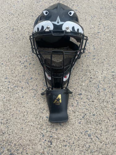All Star Player's Series Catcher's Set (Used)