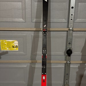 Nordica 196 cm Dobermann GS WC Skis (Barely Used)