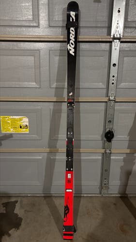 Nordica 196 cm Dobermann GS WC Skis (Barely Used)