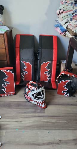 34+1 2021 Reasony ball hockey Regular Goalie Full Set (Used)