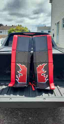 34+1 2021 Reasony ball hockey Regular Goalie Full Set (Used)