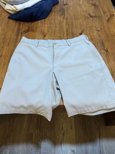 Silver Size 32 Men's Shorts (Used)