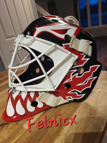 Senior Itech 961 Goalie Mask (Used)