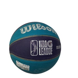 Used Wilson CHA HORNETS BB Basketball Adult Outdoor Purple And Turquoise 29 1/2" 11347-S000254037