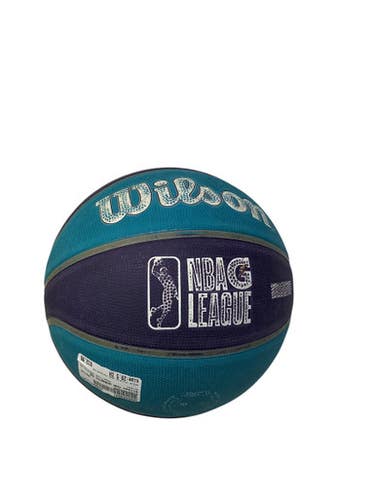 Used Wilson CHA HORNETS BB Basketball Adult Outdoor Purple And Turquoise 29 1/2" 11347-S000254037
