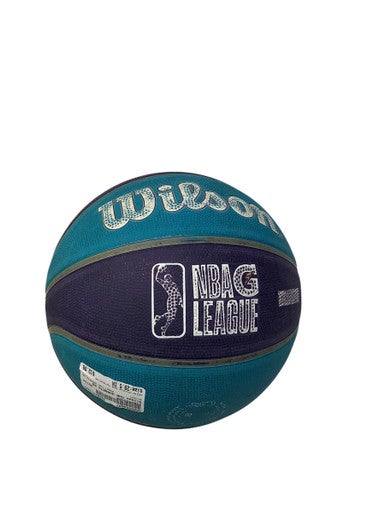 Used Wilson CHA HORNETS BB Basketball Adult Outdoor Purple And Turquoise 29 1/2" 11347-S000254037