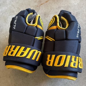 Warrior Alpha Gloves 10" (Used)