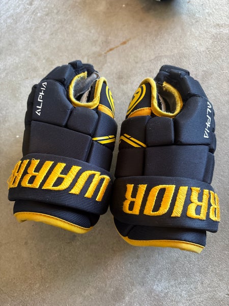 Warrior Alpha Gloves 10" (Used)