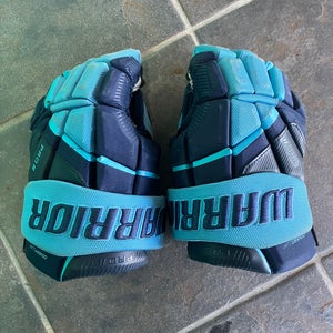 Blue Junior Warrior Pro Series II Gloves 11" (Used)