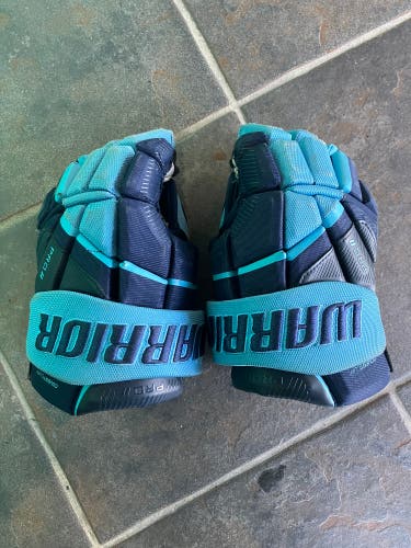 Blue Junior Warrior Pro Series II Gloves 11" (Used)