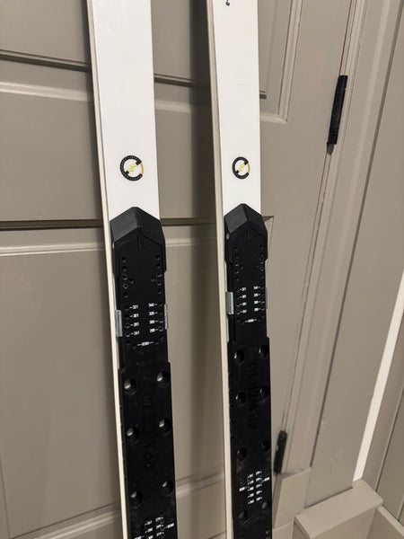 HEAD World Cup Rebels e-GS RD 188 cm Racing Skis | SidelineSwap