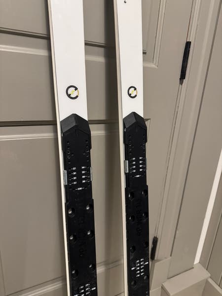 HEAD World Cup Rebels e-GS RD 188 cm Racing Skis | SidelineSwap