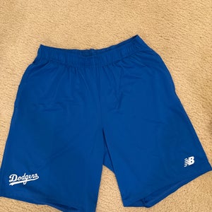 Men's New Balance Shorts (Used)