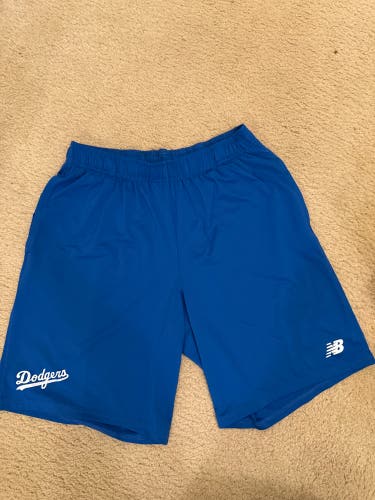 Men's New Balance Shorts (Used)
