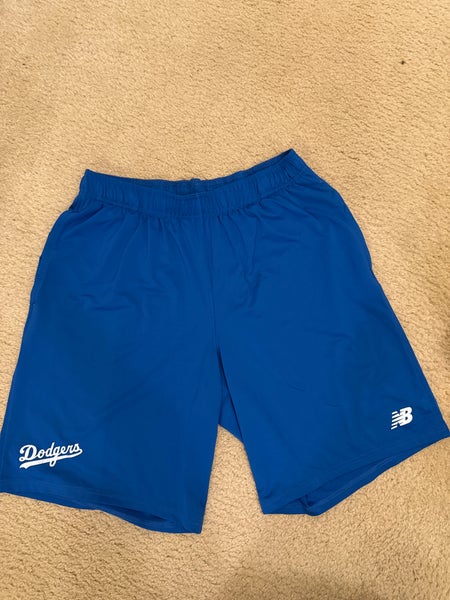 Men's New Balance Shorts (Used)