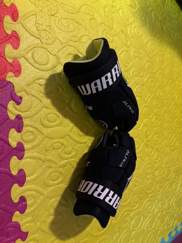 Warrior Gloves 12" (Used)