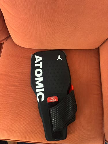 Small Atomic Back Plate (Used)