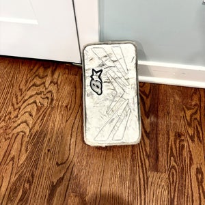 Brian's Netzero Regular