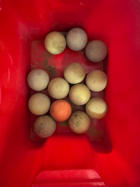 Lacrosse Ball 12 Pack (1 Dozen) (Used)