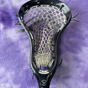 Black Warrior Burn Next Strung Head (Used)