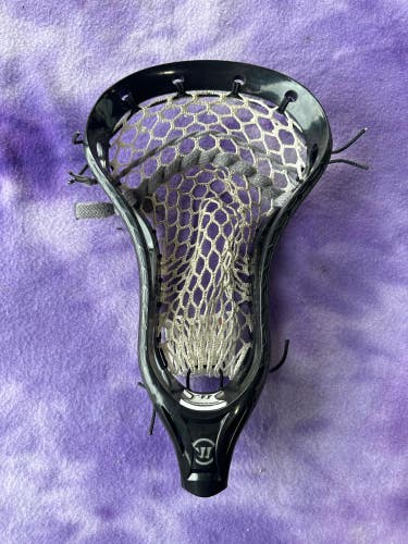 Black Warrior Burn Next Strung Head (Used)