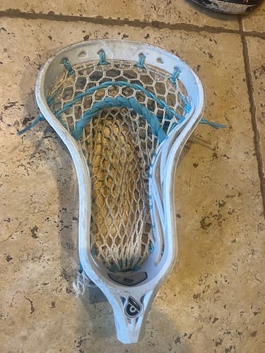 Powell Strung Pioneer Head (Used)