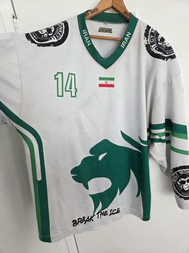 Official 2017 Asian Winter Games DQ Team Iran Game Jersey White Size Large