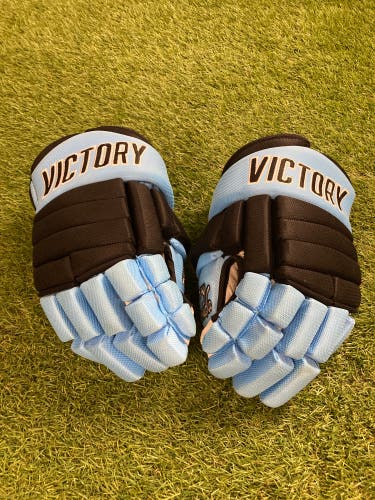 Blue Senior Victory Honda AAA Gloves 14" Pro Stock (Used)