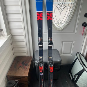 Dynastar Speed WC FIS GS 150 cm Racing Skis (Used)