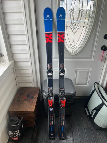 Dynastar Speed WC FIS GS 150 cm Racing Skis (Used)