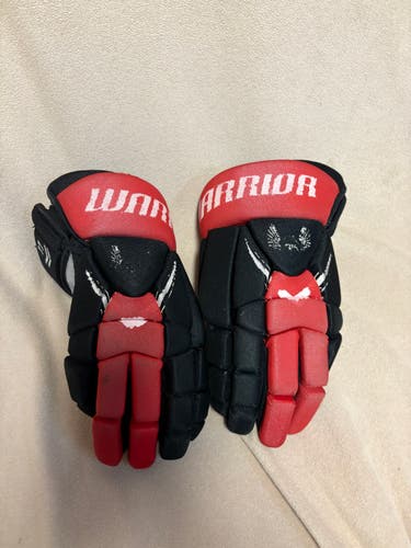 Warrior AK-27 Gloves 15" (Used)