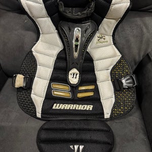 Medium Warrior Chest Protector (Used)