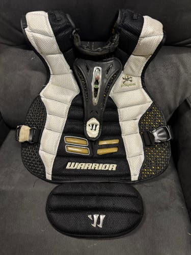 Medium Warrior Chest Protector (Used)