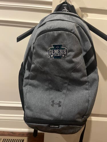 Gray Boys Under Armour Backpack (Used)