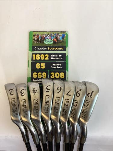 Master Grip Iron Set 2-PW With Regular Graphite Shafts  (no 8)