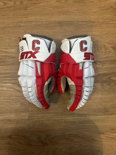 NATIONAL CHAMPION Cornell Lacrosse Gloves