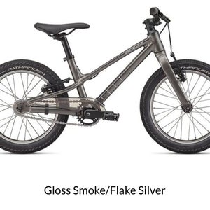 Specialized Bike (New)