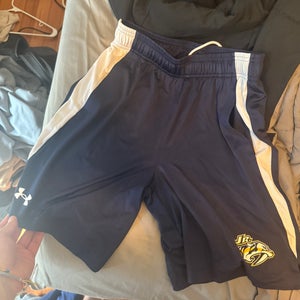 Blue Small Men's Under Armour Shorts (New)