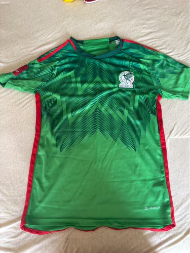 Green Medium Adult Unisex Jersey (Used)