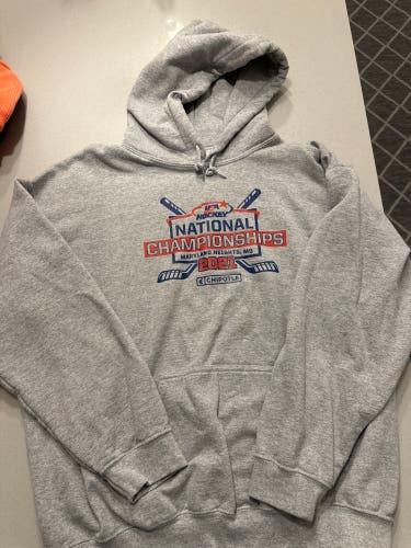 Gray Men's Large Sweatshirt (Used)