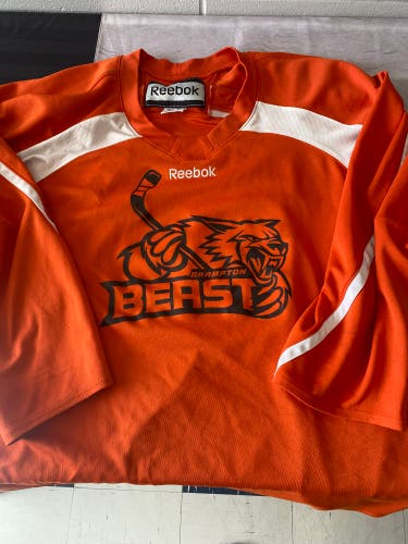 Brampton Beast ECHL goalie Jersey