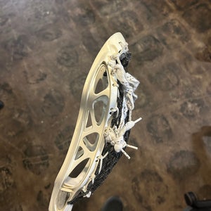 STX Arrow Head (Used)