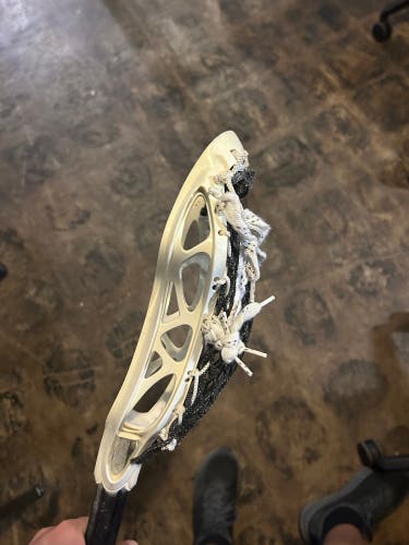 STX Arrow Head (Used)