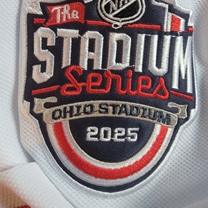 Larkin 2025 stadium series Size 52 Men's Jersey