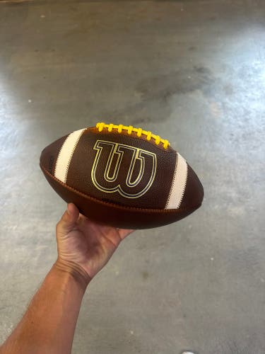 Adult Wilson Football (New)