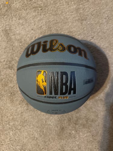 Men's Wilson Basketball (New)