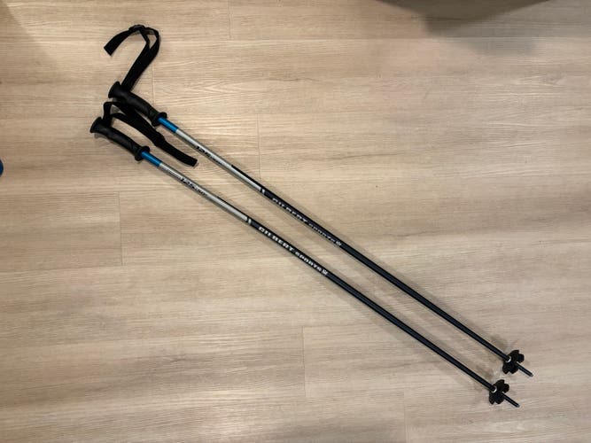 50in (125cm) Salomon Ski Poles (Used)